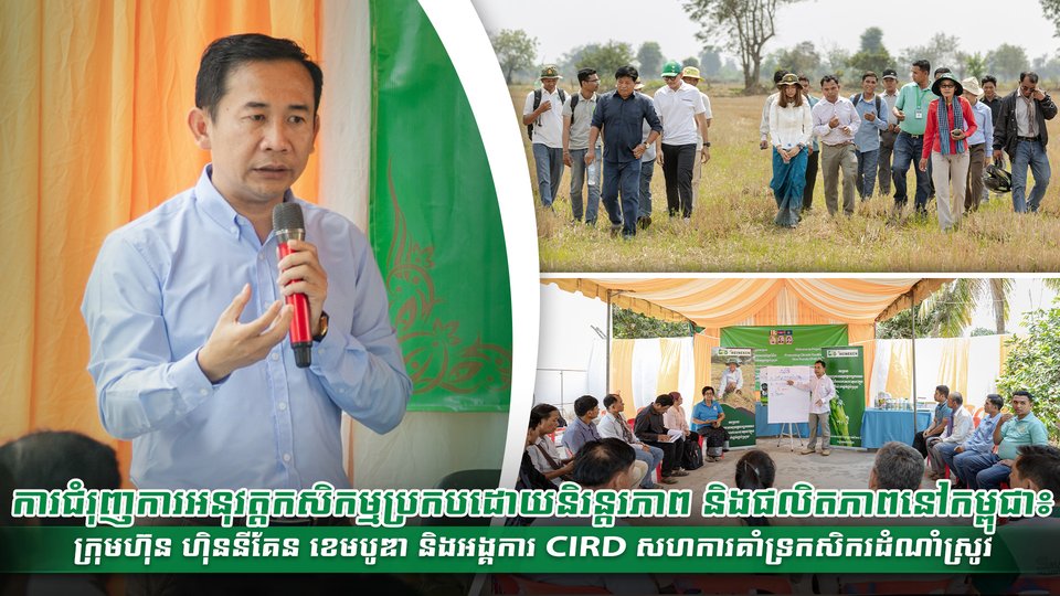 ការជំរុញការអនុវត្តកសិកម្មប្រកបដោយនិរន្តរភាព និងផលិតភាពនៅកម្ពុជា៖ ក្រុមហ៊ុន ហ៊ិននីគែន ខេមបូឌា និងអង្គការ CIRD សហការគាំទ្រកសិករដំណាំស្រូវ