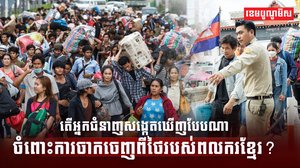 តើអ្នកជំនាញសង្កេតឃើញបែបណា