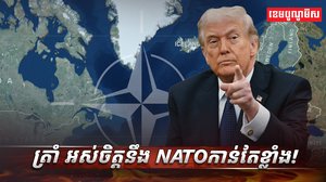 អង្គការ  NATO