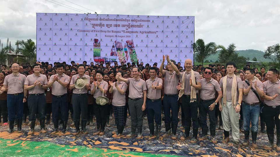 ក្រុមហ៊ុន​វិនិយោគ​ដាំ​ចេក​នាំ​ចេញ នៅ​ខេត្ត​កំពត។
