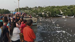 មជ្ឈមណ្ឌល​អប់រំ​ធម្មជាតិ​បាងភូ ជា​ទី​គយគន់​សត្វស្លាប​ដ៏​ពេញ​និយម​របស់​ប្រជាជនថៃ