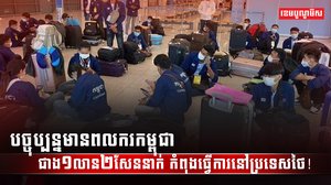 វិស័យការងារ