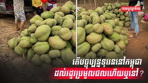 ដាំណាំទុរេន