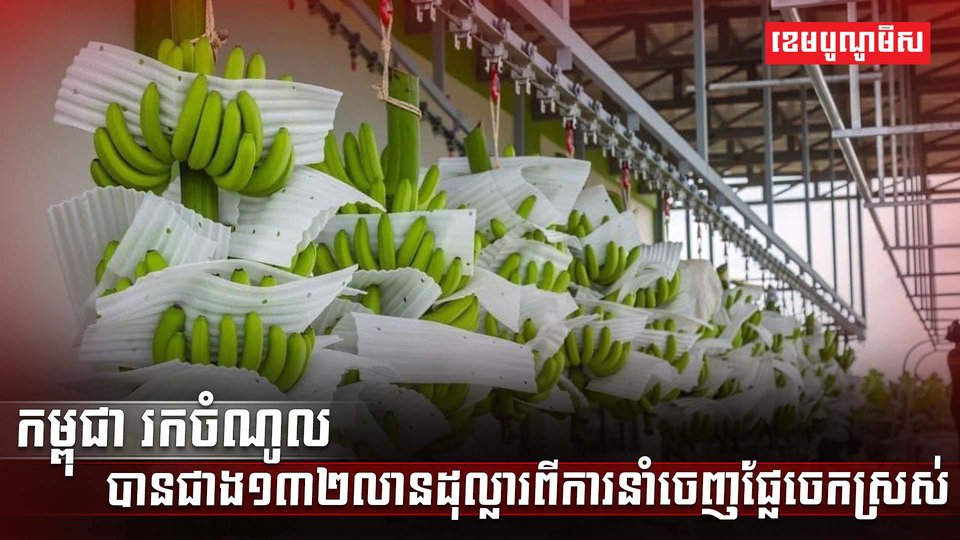 វិស័យកសិកម្ម