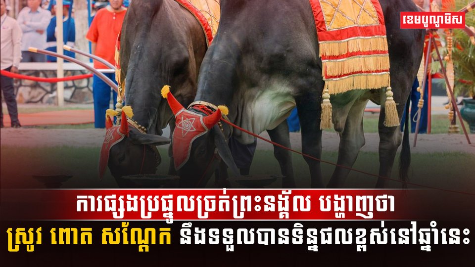 វិស័យកសិកម្ម