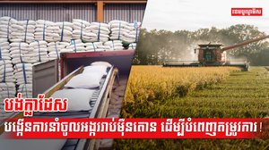 វិស័យកសិកម្ម