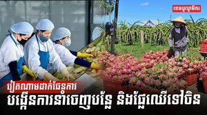 វិស័យកសិកម្ម