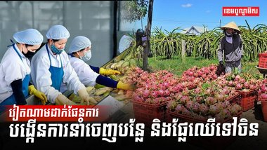 វិស័យកសិកម្ម