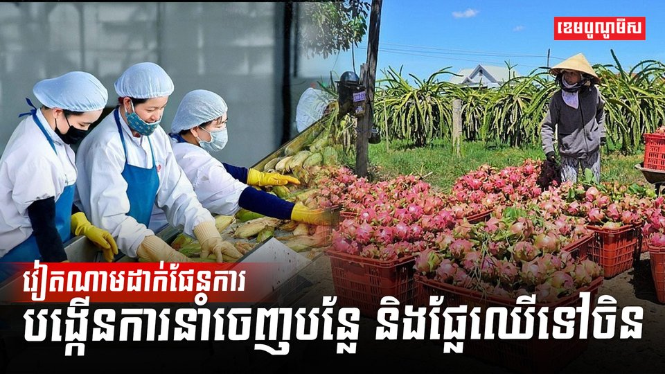 វិស័យកសិកម្ម