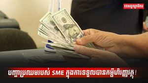 វិស័យ SME