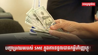វិស័យ SME