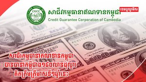 សាជីវកម្មធានាឥណទាន