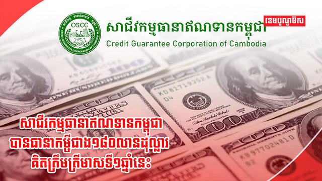 សាជីវកម្មធានាឥណទាន