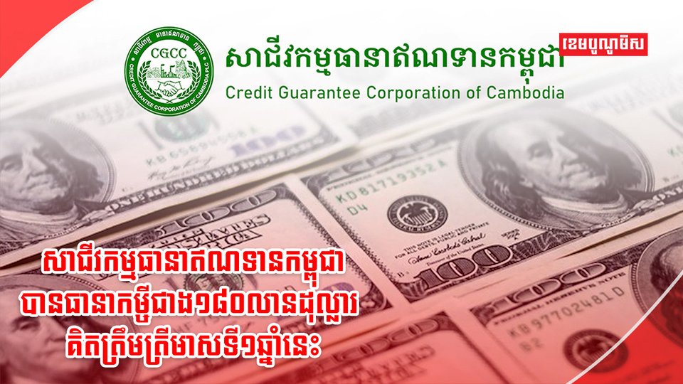 សាជីវកម្មធានាឥណទាន