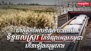 ប៉ះពាល់asdasd