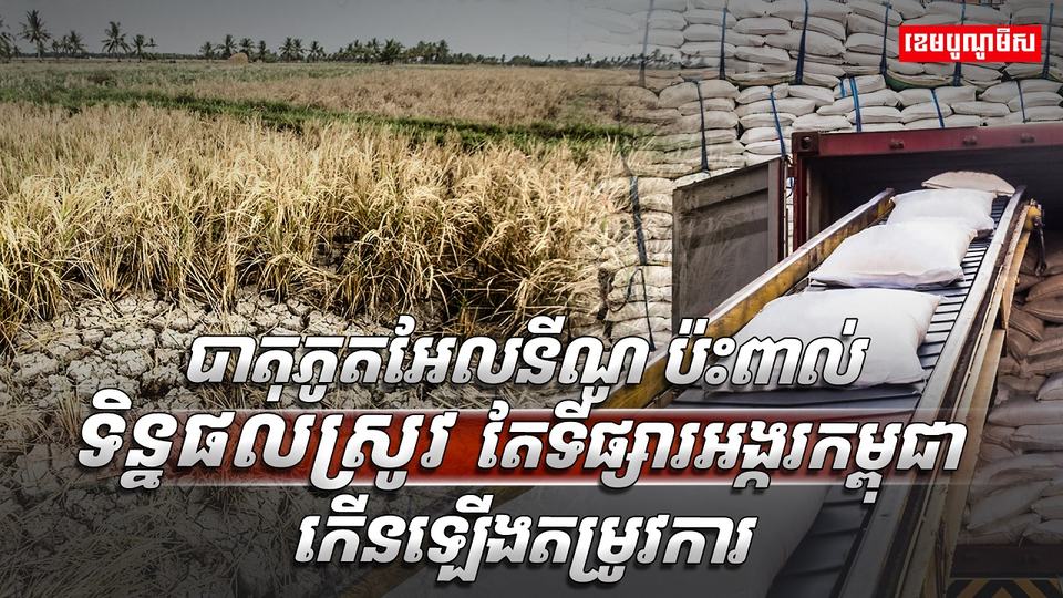 ប៉ះពាល់asdasd