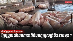 អ្នកចិញ្ចឹមសត្វ