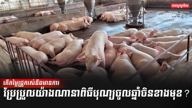 អ្នកចិញ្ចឹមសត្វ