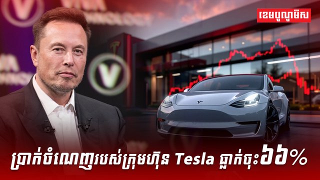 ប្រាក់ចំណេញរបស់ក្រុមហ៊ុន Tesla ធ្លាក់ចុះ៦៦%