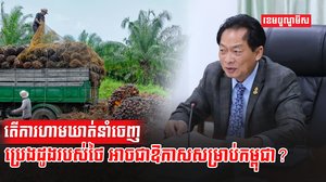ប្រេងដូង
