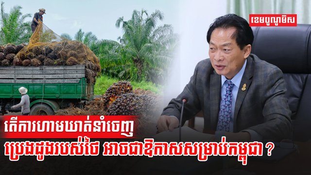 ប្រេងដូង