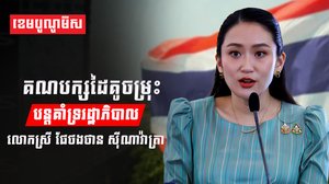 គណបក្សដៃគូចម្រុះ