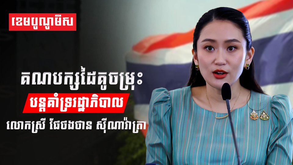 គណបក្សដៃគូចម្រុះ