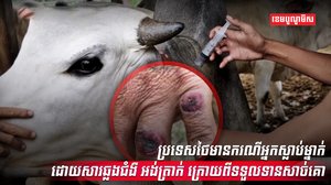 ជំងឺ អង់ត្រាក់