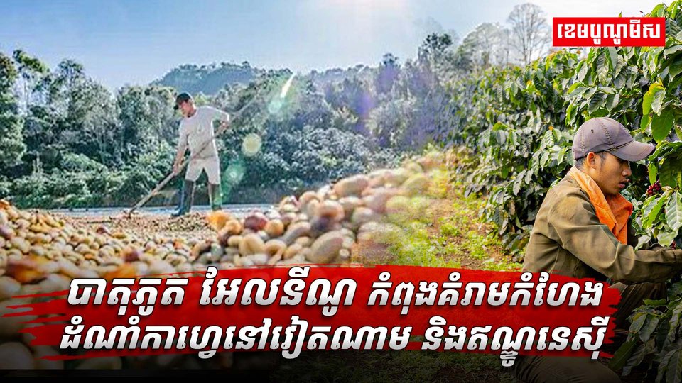 បាតុភូត អែលនីណូ