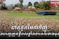 បាតុភូតអែលនីញ៉ូ