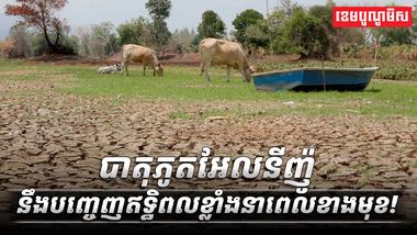 បាតុភូតអែលនីញ៉ូ