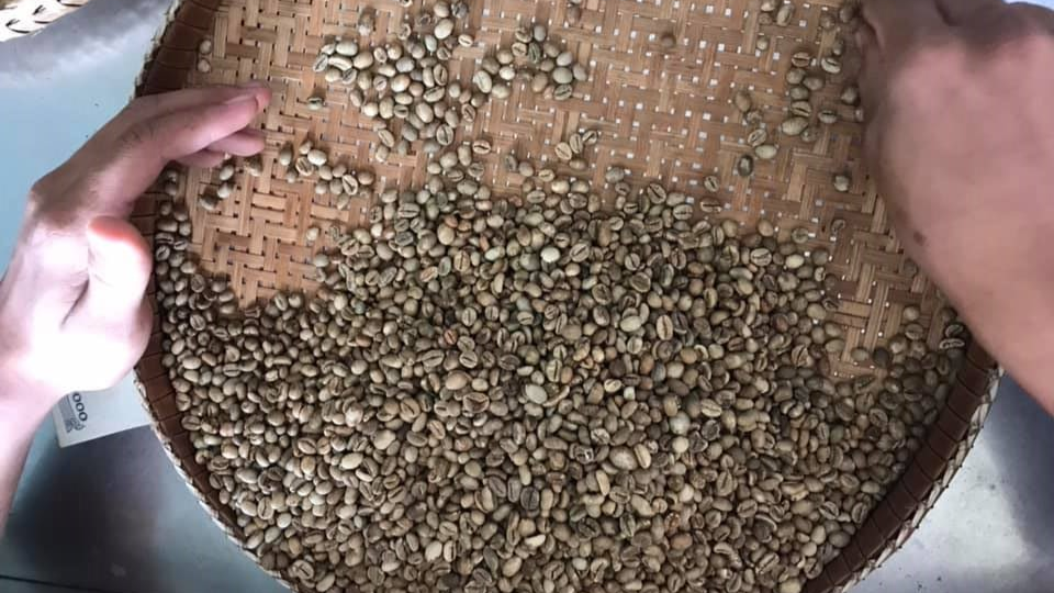 ក្រុមហ៊ុន CP មានបំណងផលិតកាហ្វេនៅកម្ពុជា ដើម្បីនាំចេញទៅប្រទេសថៃ