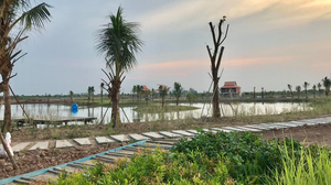 រមណីយដ្ឋាន​ភូមិ​ផ្កាត្រកួន