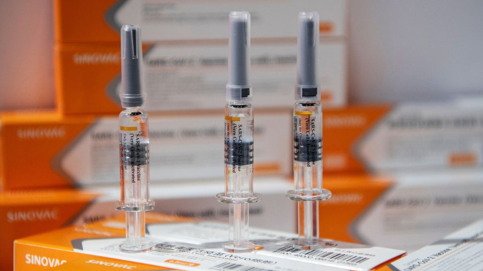ក្រុមហ៊ុនចិន Sinovac Biotech នឹងបង្កើនការផលិតវ៉ាក់សាំងកូវីដ-១៩ ទ្វេដង ក្រោយពីទទួលបានការវិនិយោគបន្ថែមជាង៥០០លានដុល្លារ (រូបភាព៖ Bloomberg)