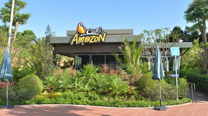 ហាងកាហ្វេ​ Amazon