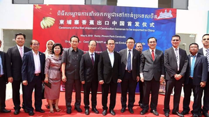 ចេកអំបូងលឿង ១០០ តោន ត្រូវបាននាំចេញផ្លូវការទៅចិន ក្នុងដំណាក់កាលដំបូងនេះ