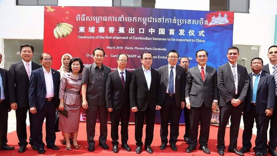 ចេកអំបូងលឿង ១០០ តោន ត្រូវបាននាំចេញផ្លូវការទៅចិន ក្នុងដំណាក់កាលដំបូងនេះ