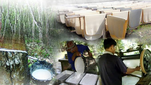 កៅស៊ូ
