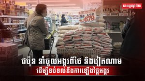 វិស័យស្រូវ អង្ករ