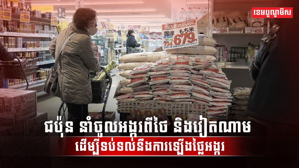 វិស័យស្រូវ អង្ករ