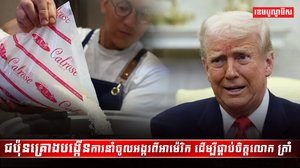 វិស័យស្រូវ អង្ករ