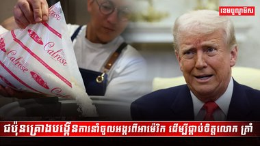 វិស័យស្រូវ អង្ករ