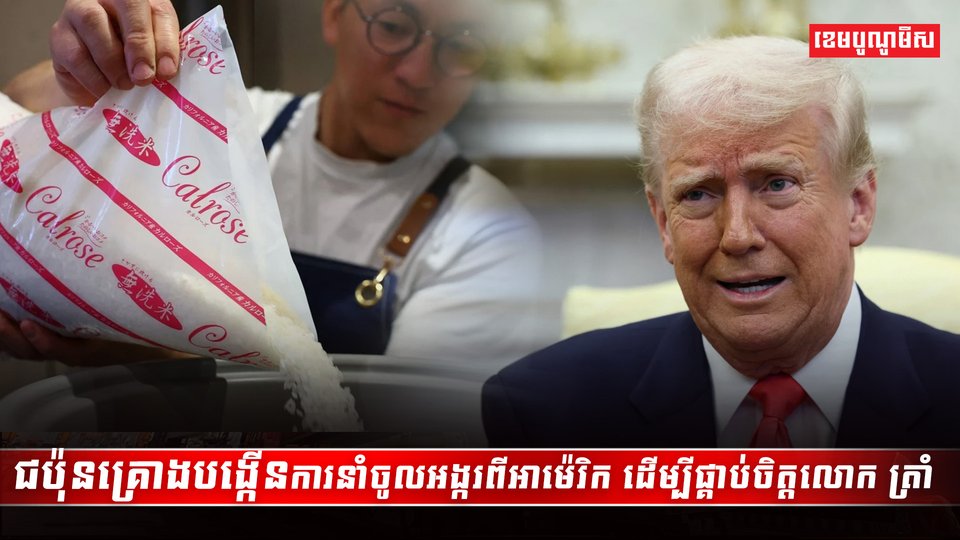 វិស័យស្រូវ អង្ករ