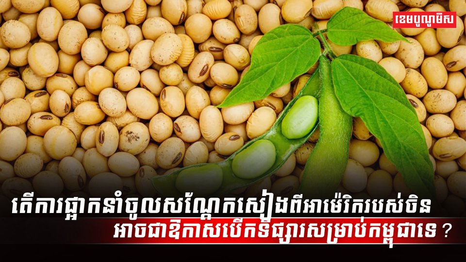 វិស័យកសិកម្ម