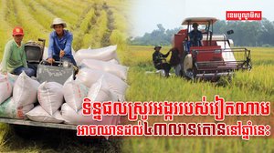 វិស័យកសិកម្ម