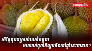 វិស័យកសិកម្ម