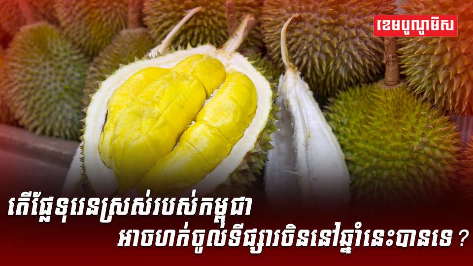 វិស័យកសិកម្ម