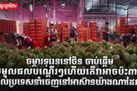 ទីផ្សារទុរេន
