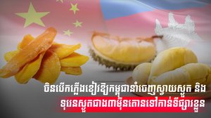 វិស័យកសិកម្ម