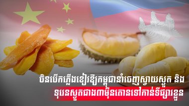 វិស័យកសិកម្ម